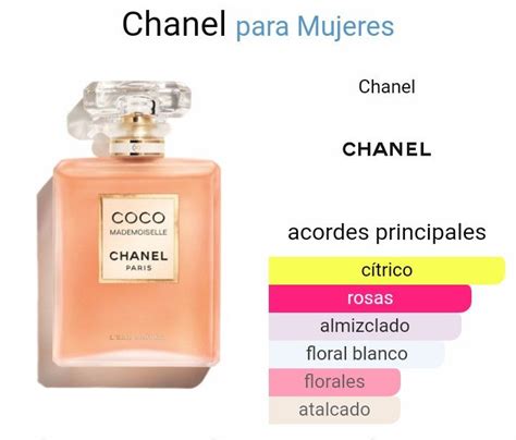 coco noir chanel notas olfativas|coco de chanel.